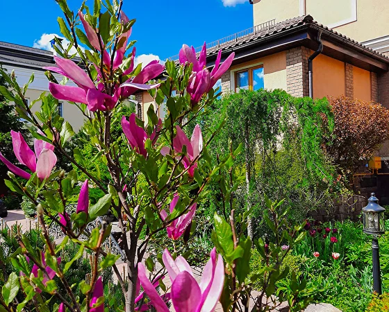 Рубин Эстейт